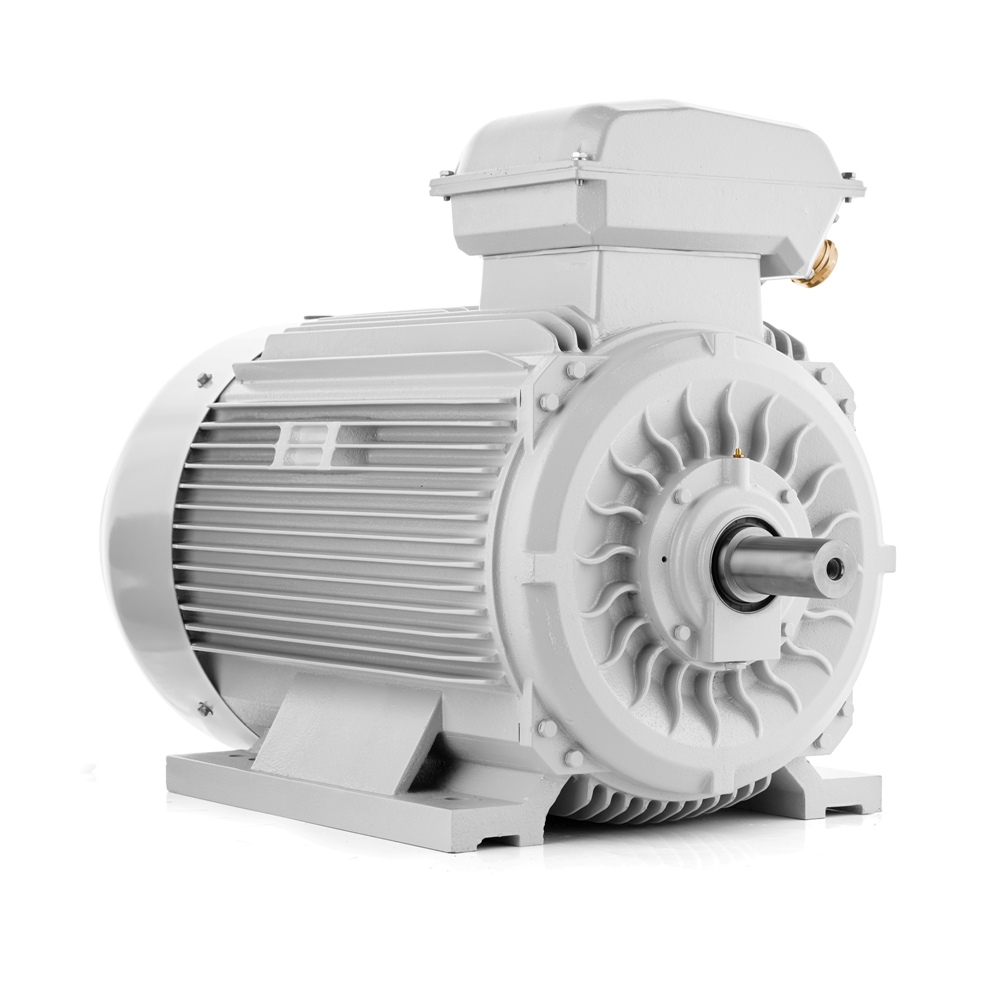 Elektromotor 110kW 3LC 2-polig VYBO Electric 400V/690V Auf Lager