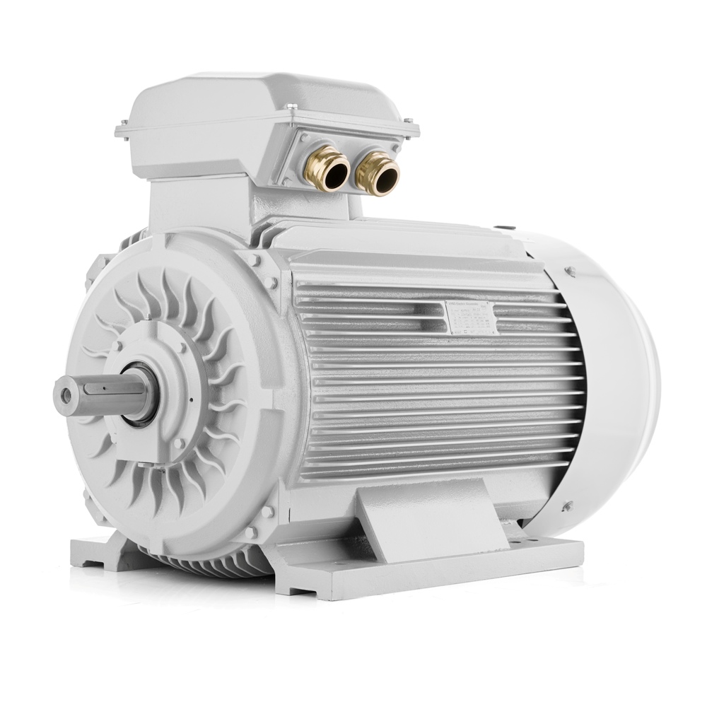 Elektromotor 110kW 3LC 2-polig VYBO Electric 400V/690V Auf Lager