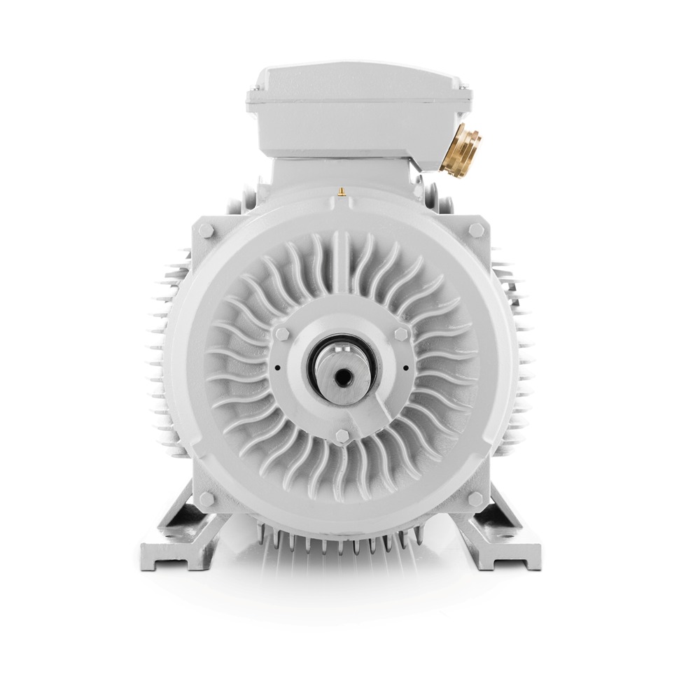 Elektromotor 55kW 3LC 4-polig VYBO Electric 400V/690V Auf Lager