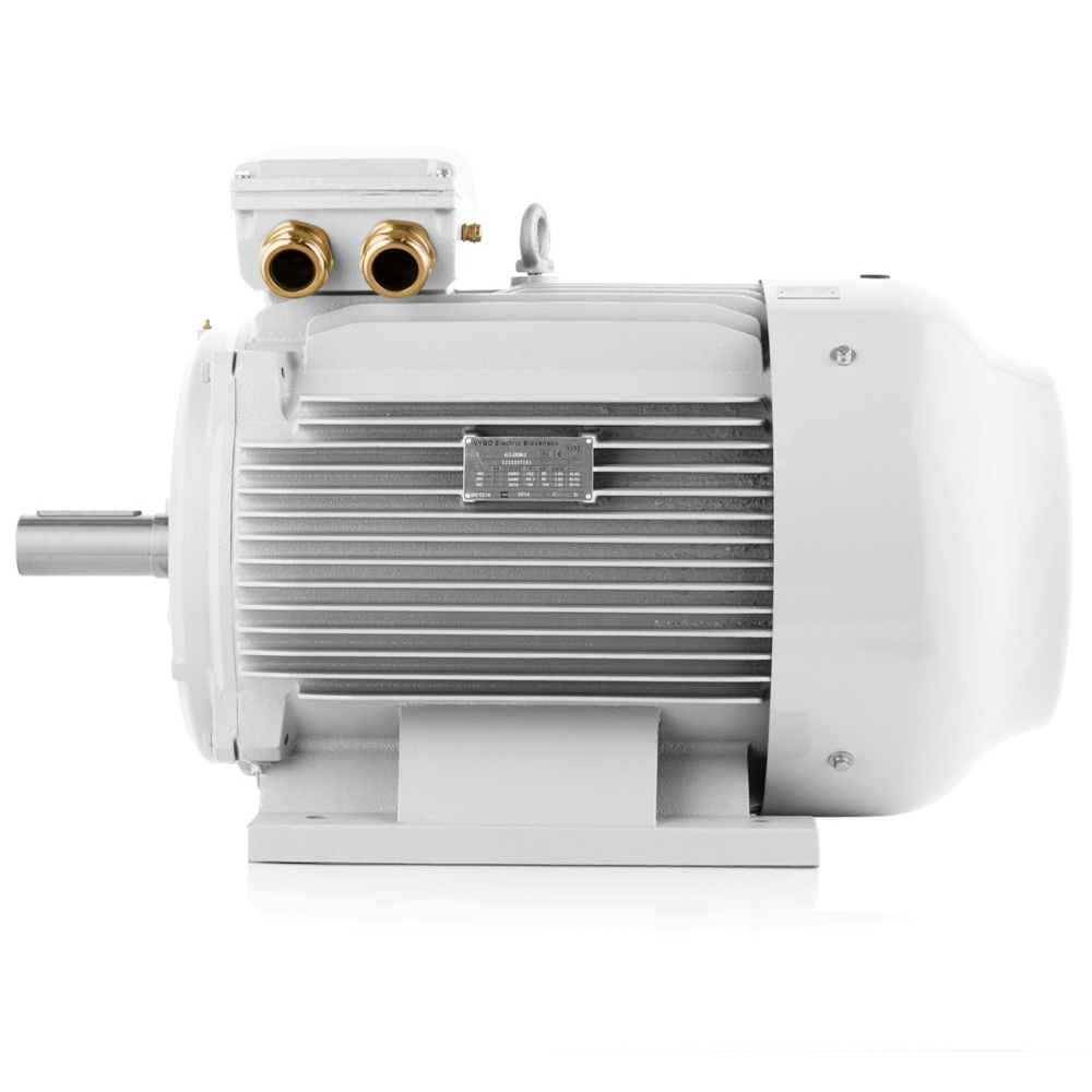 Elektromotor 90kW 3LC 2-polig VYBO Electric 400V/690V Auf Lager