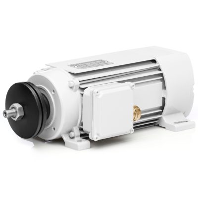Elektrischer Sägemotor 1,8kW 2900 U/min 230V Verkauf