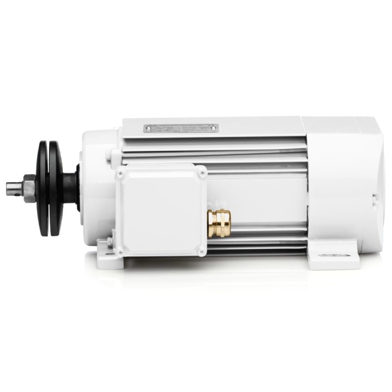 Elektrischer Sägemotor 2,2kW 2900 U/min 230V Verkauf