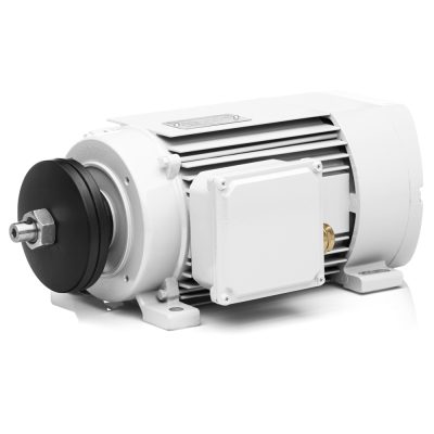 Elektrischer Sägemotor 5,5kW 2900 U/min 400V Verkauf
